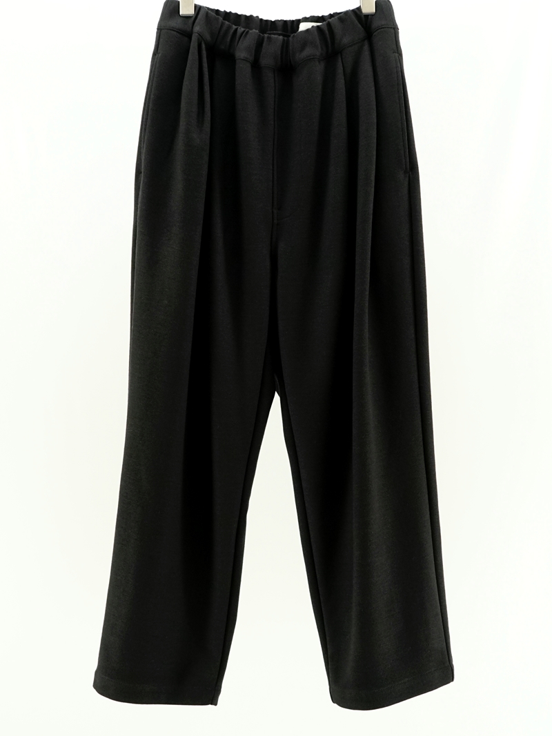 Wool jersey two tuck pants / CS04253