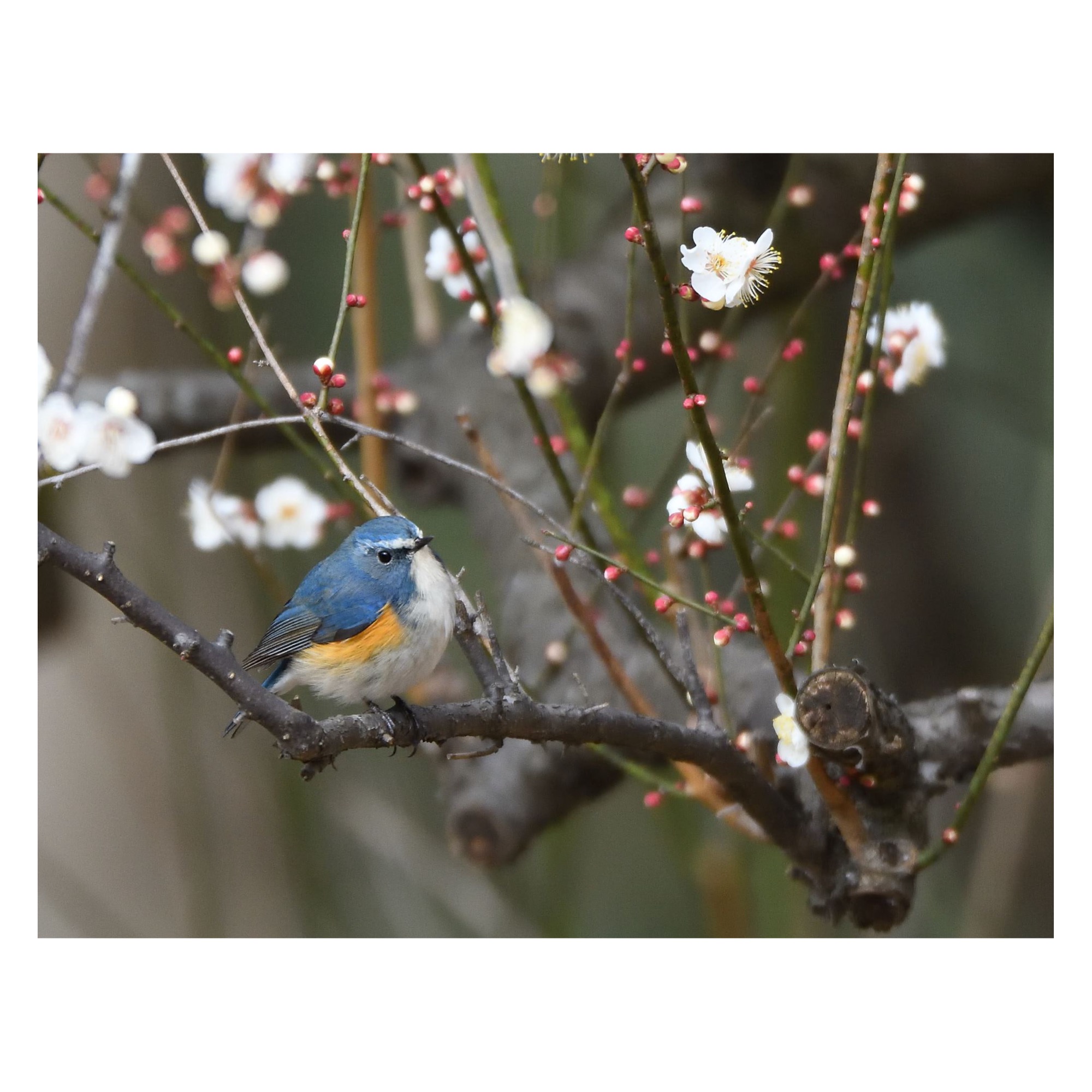 春夏がはじまります