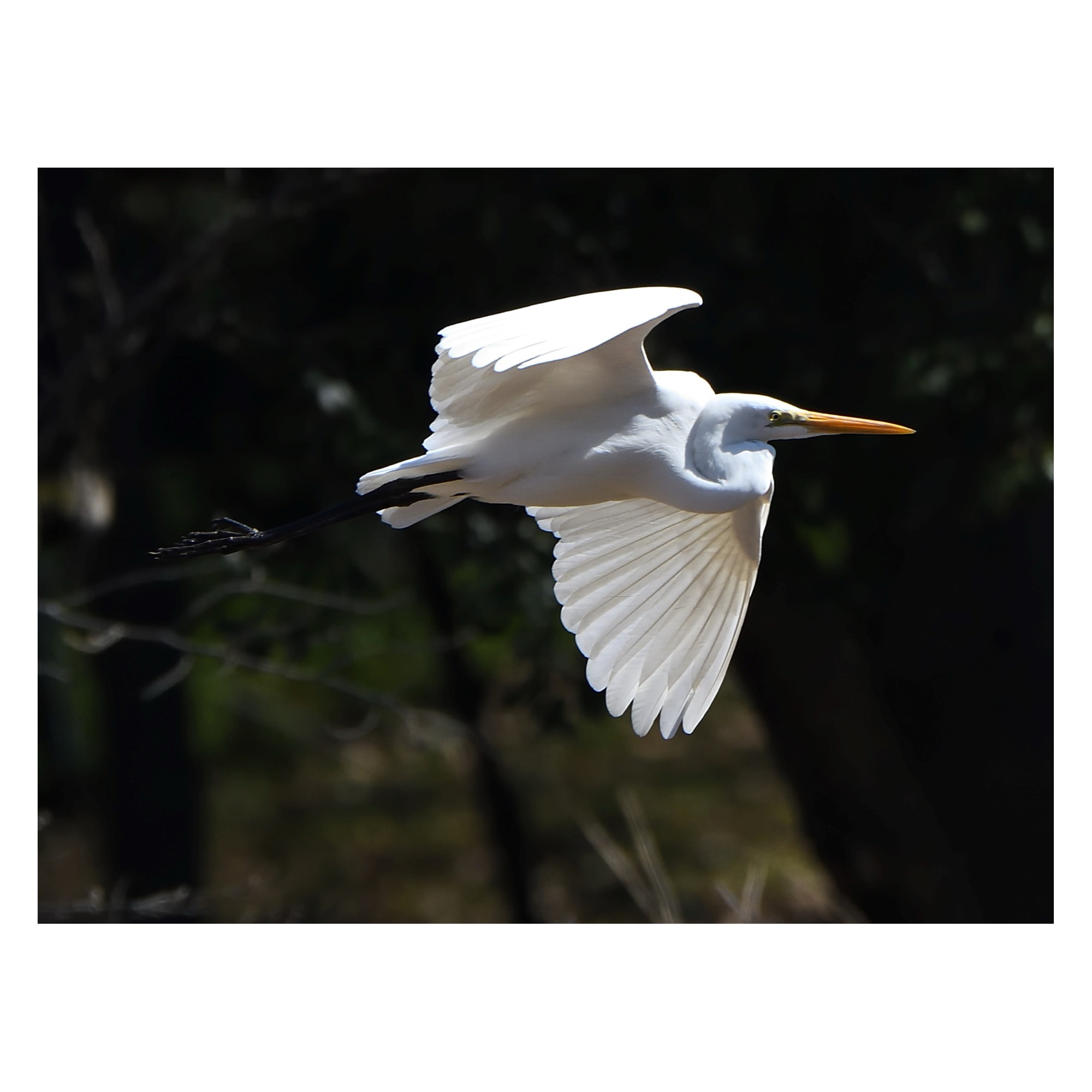 2026年 よろしくお願いいたします