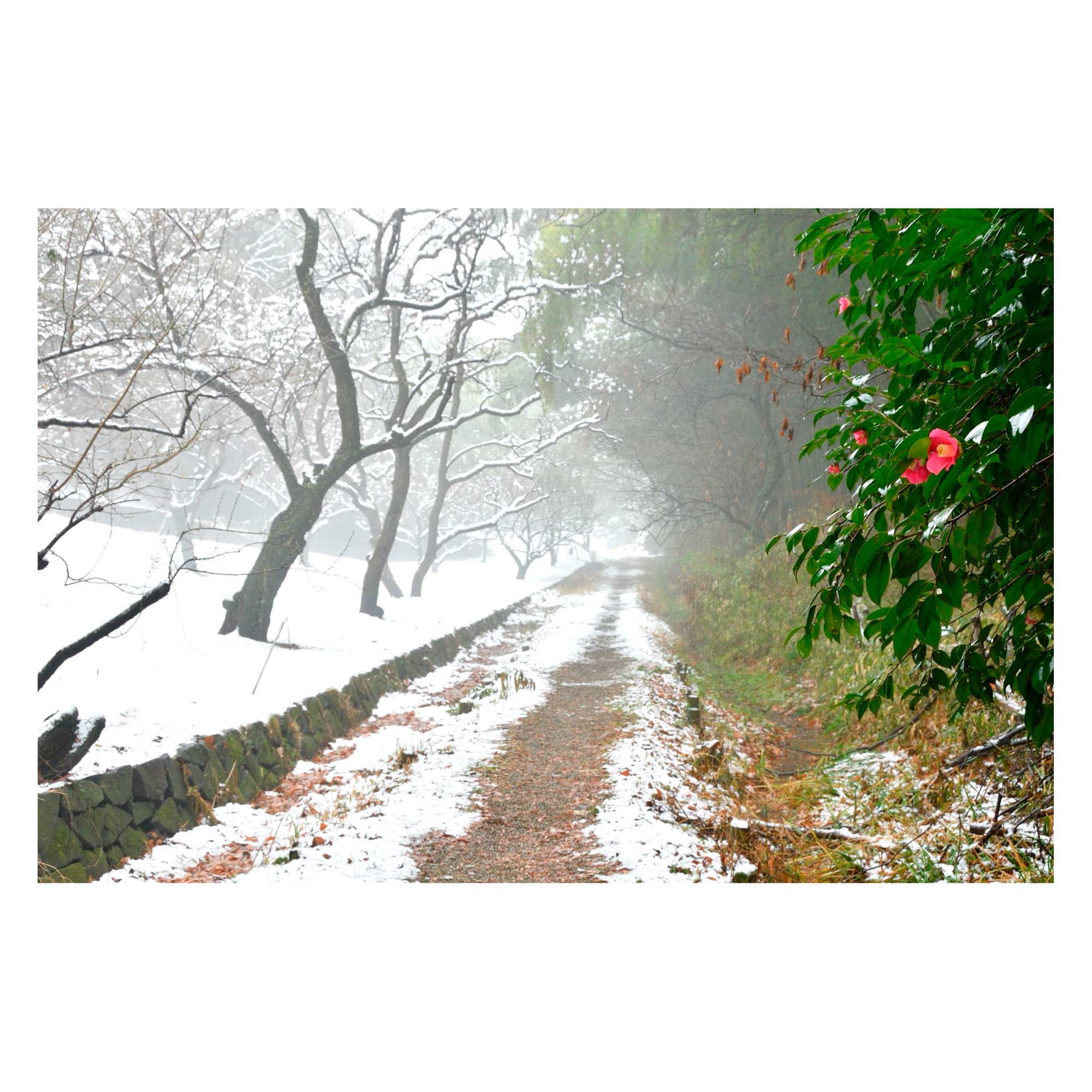 2025年 ありがとうございます