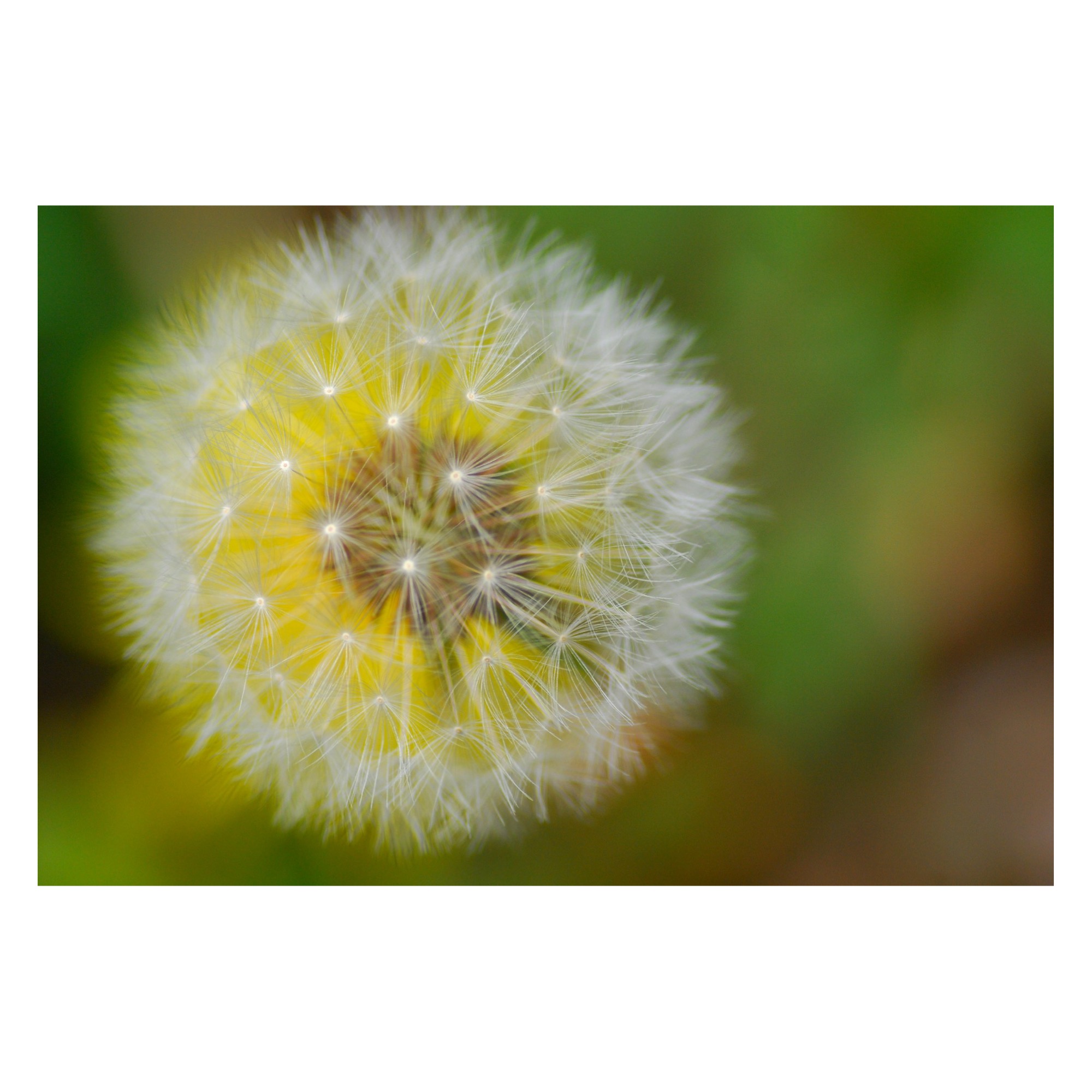 電子マネー・コード決済の取り扱いを始めます